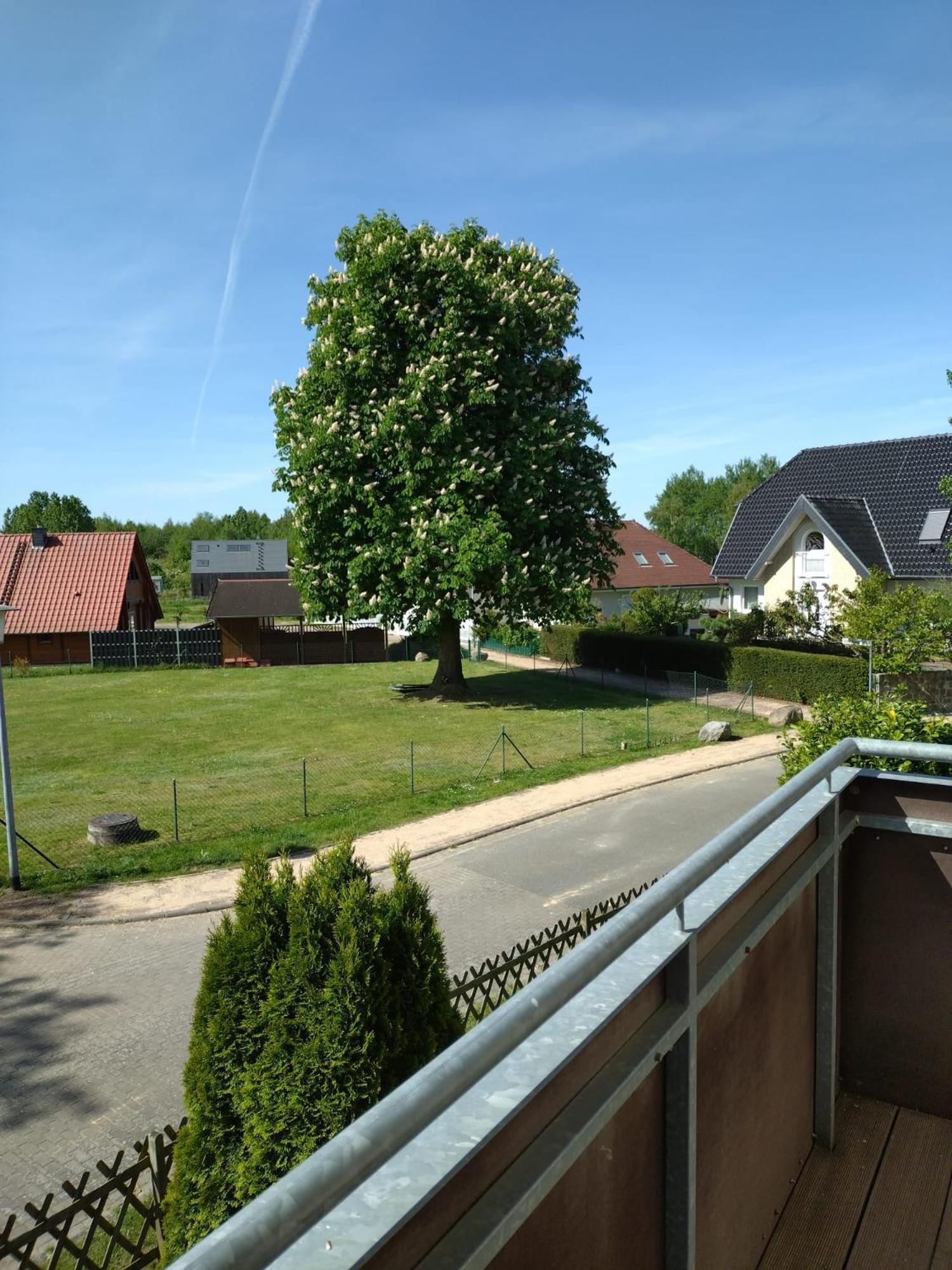 Ferienhaus Rechlin See Exterior photo